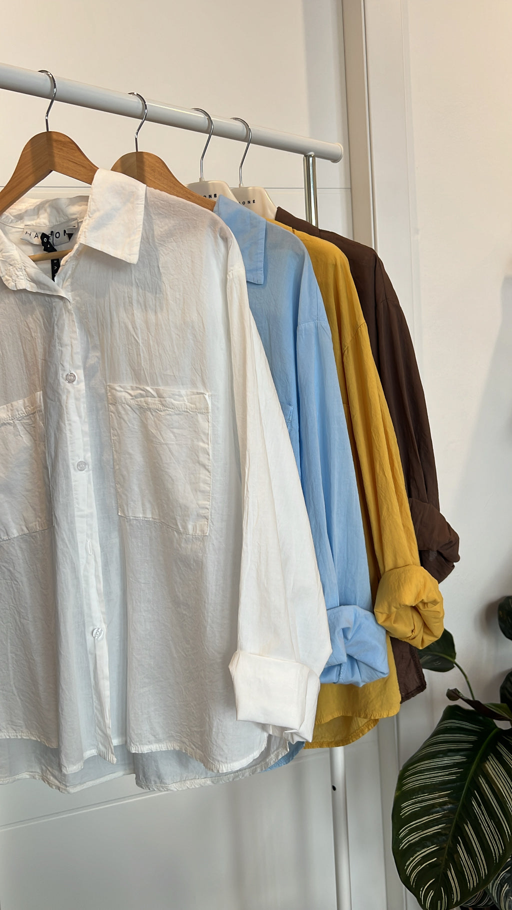 Camicia cotone